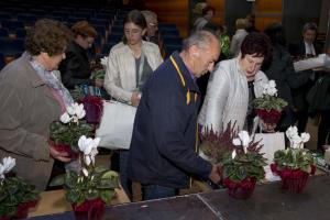 046 Postojna v cvetju, Foto atelje Postojna